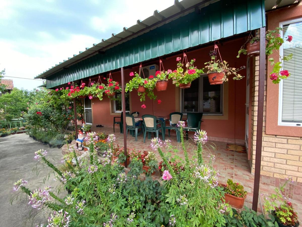 Sud ,,Antal I Olga,, Bed and Breakfast Skorenovac Exterior foto
